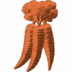 Carrots