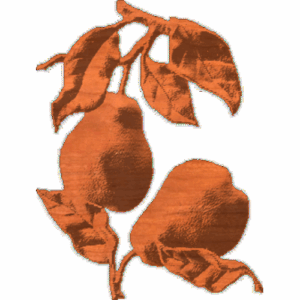 PearTree