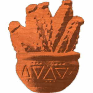 CactusBowl