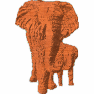 Elephants