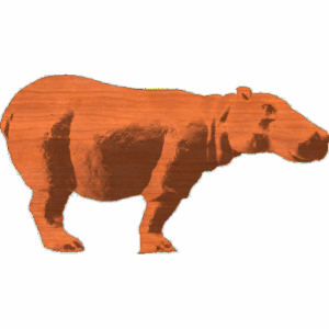 Hippopotamus