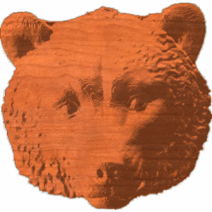 BearHead