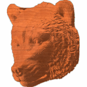 BearHeadProfile