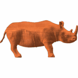 Rhinoceros