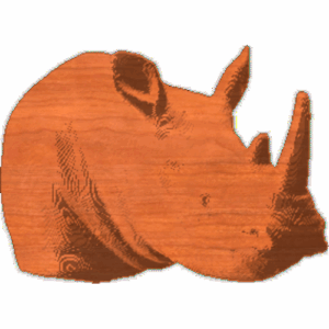 Rhinoceros Head