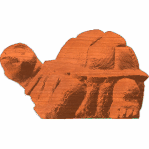 Turtle Profile