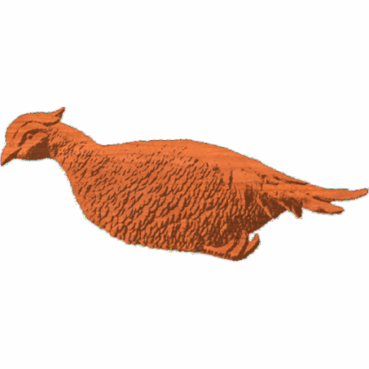 A Pheasant
