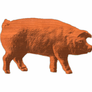 PigLarge