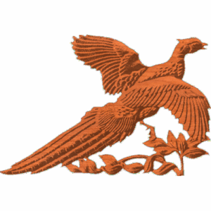 PheasantFlying