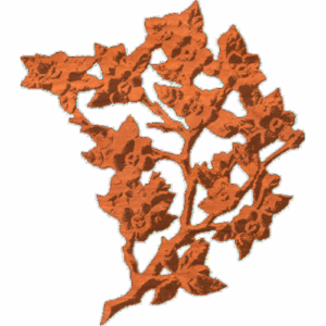 WildFlowerBranch