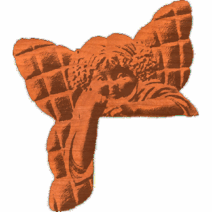 AnglePatchworkWings
