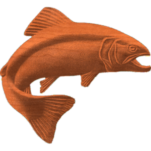 LargeFishTrout2