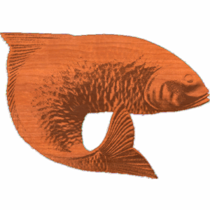 Asian carp