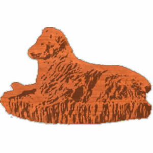 sheep dog 1