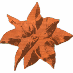 Clemitist flower