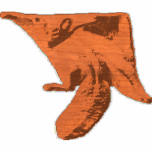 Flying Squirrel