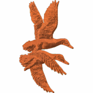Ducks - 02