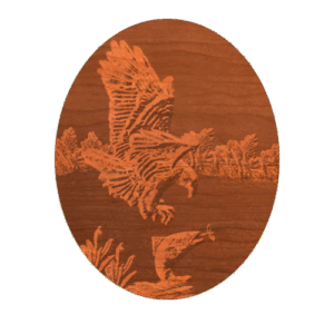 Eagle and trout