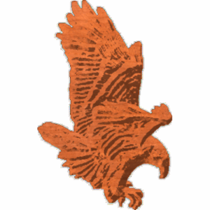Eagle-111