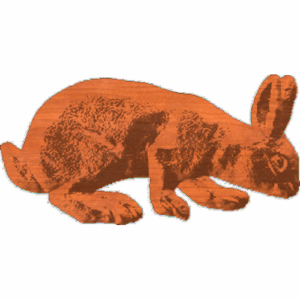Bunny1
