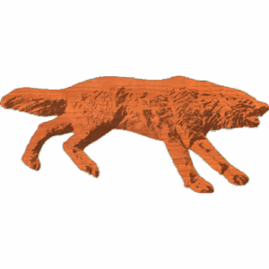Wolf Snarling