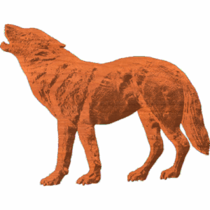Wolf Howling
