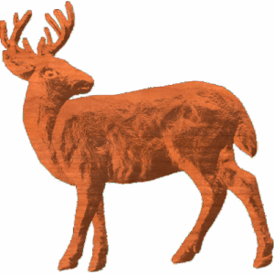Buck 01