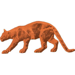 Cougar 01