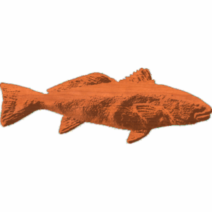 Red fish 
