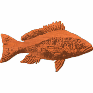 Red snapper 