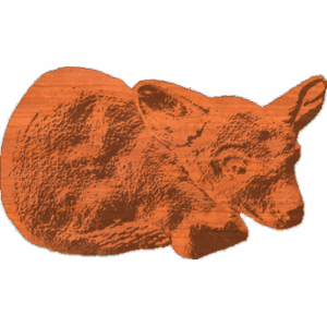 Lamb deer