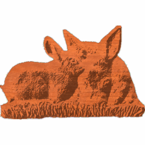 fawn and rabbit