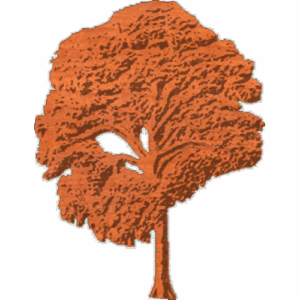 Tree - 1
