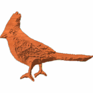 Cardinal 01