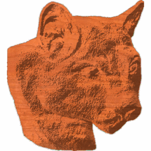 Cougar head 01