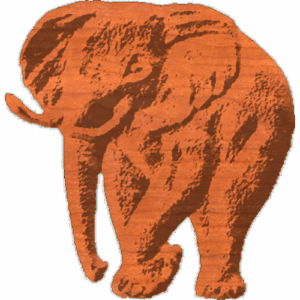 Elephant 01 