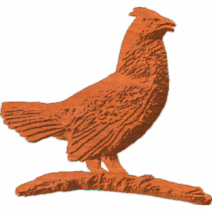 Grouse 01 