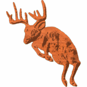 Buck - 3