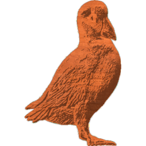 puffin