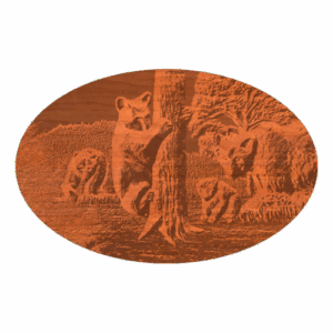 Bear Scene 02