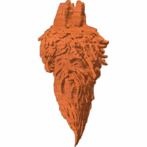 Tree Spirit