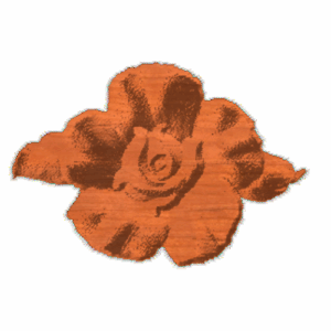 Rose 01