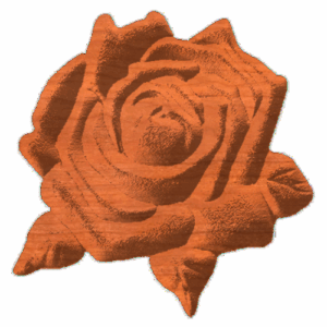 Rose 02