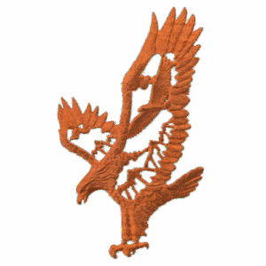 eagle02