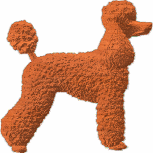 Poodle Standing