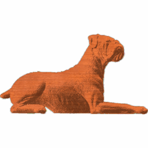 Boxer Lying