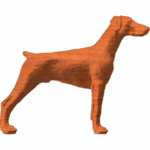 Doberman Pinscher