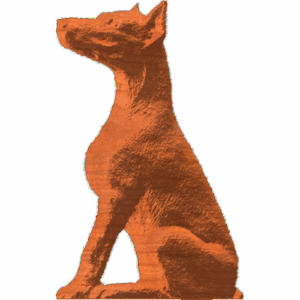 Doberman - Sitting