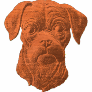 Boxer Face