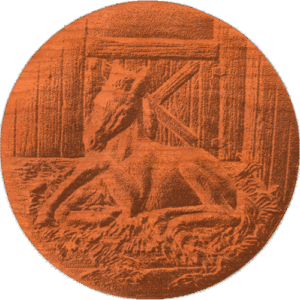 Foal in stall - on circle